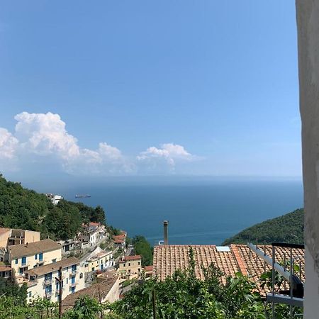 Pippo'S House Βίλα Vietri Εξωτερικό φωτογραφία